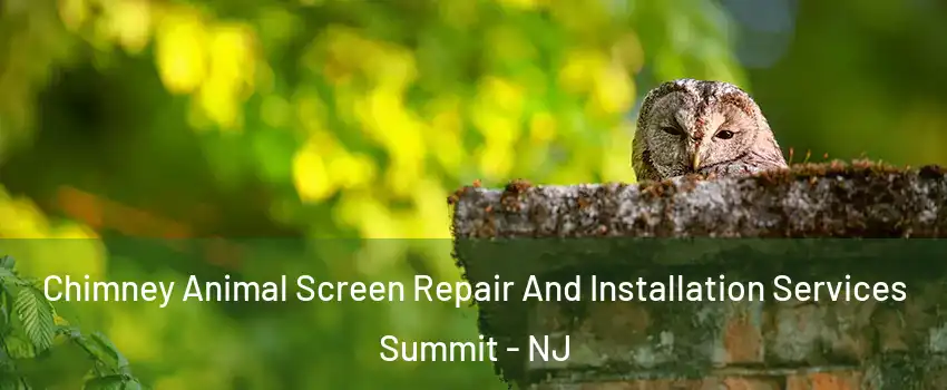  Chimney Animal Screen Repair And Installation Services Summit - NJ