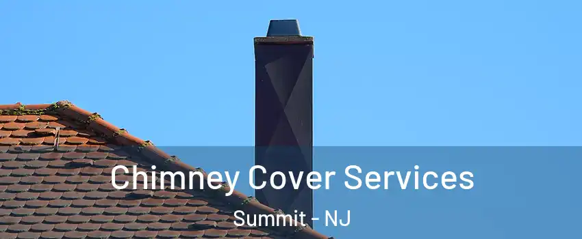  Chimney Cover Services Summit - NJ