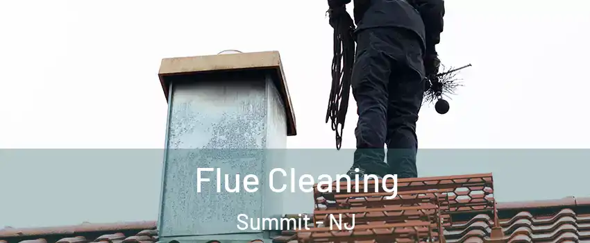  Flue Cleaning Summit - NJ